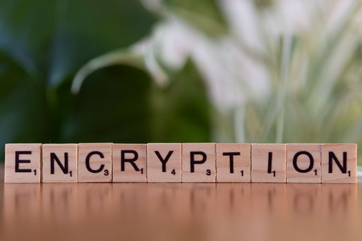 Wooden blocks spelling encryption representing cryptographic PGP verification